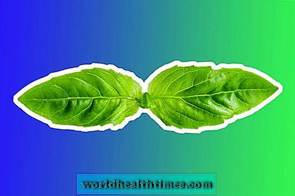 Image Image