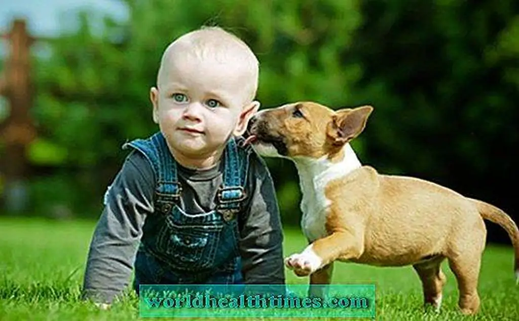 Image Image