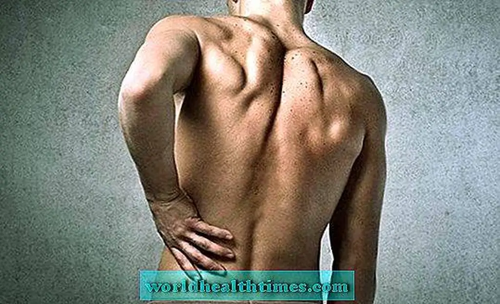 Image Image