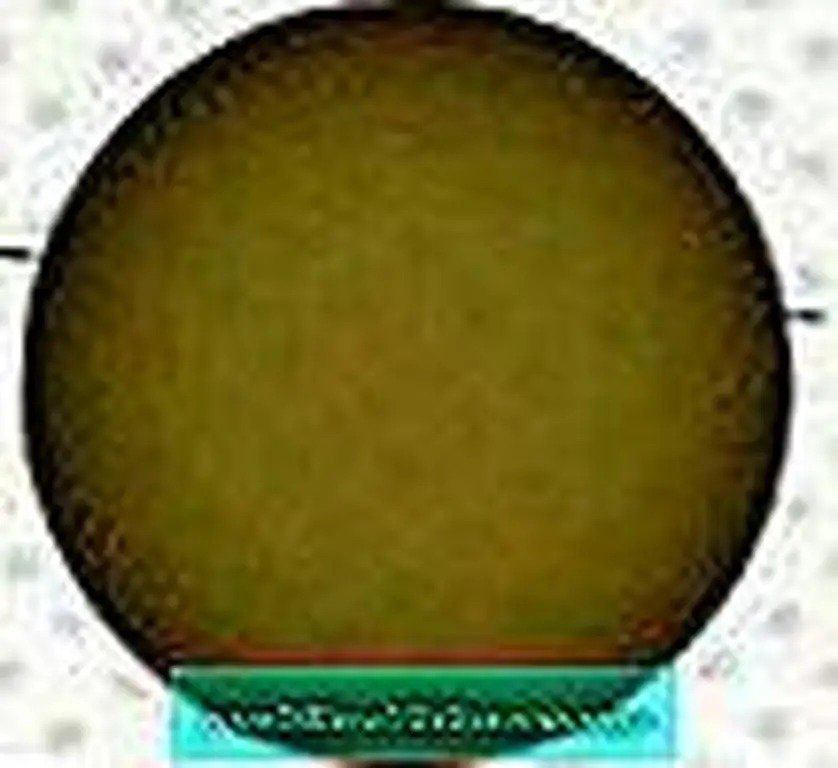 Image Image
