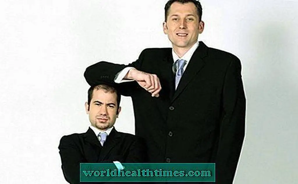Image Image