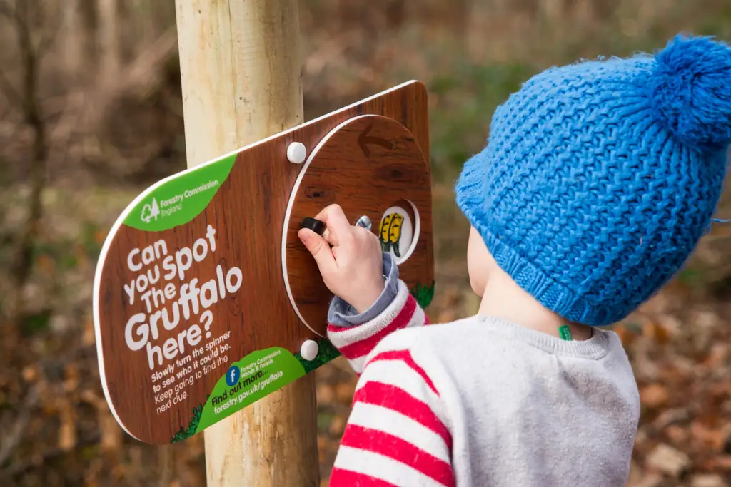 ребенок на тропе наблюдателей Джескинса Груффало