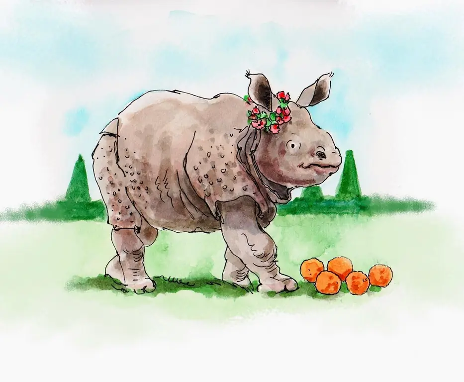 Приключения Клары, Музей Боуз