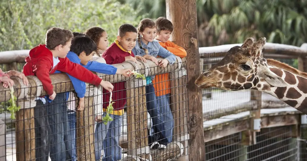 Поездки на выходные, которые нельзя пропустить, теперь дети снова в школе