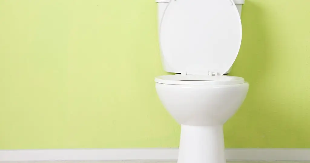 10 вещей, которые должны знать мамы, грязнее сиденья унитаза