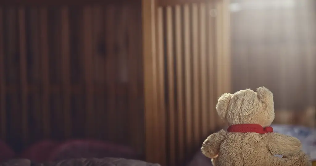 Дневник выкидыша