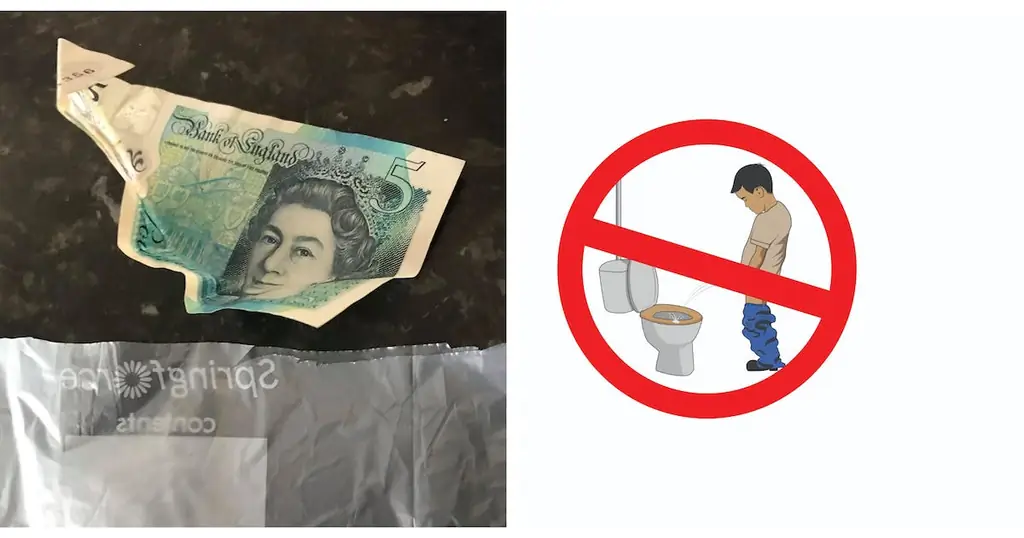 Гениальная идея мамы остановить сыновей, плачущих на сиденье унитаза