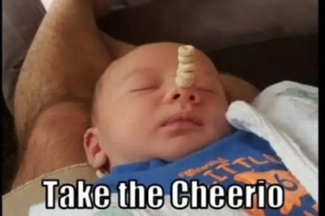 приветственный вызов