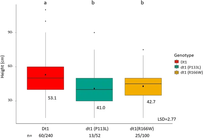 figure6