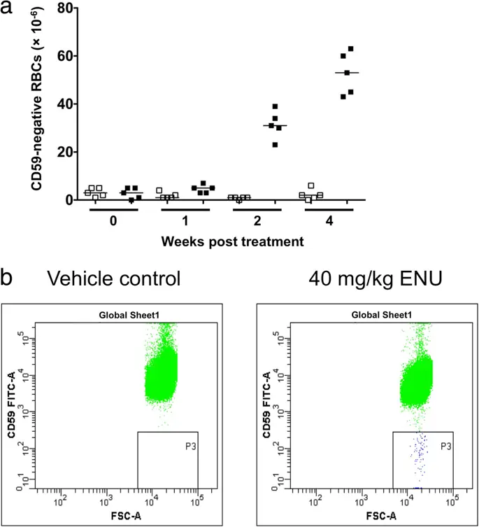 figure6 figure6