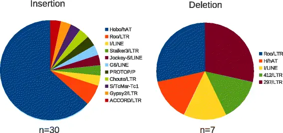 figure4 figure4