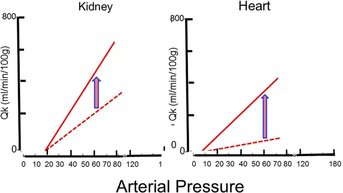 figure4