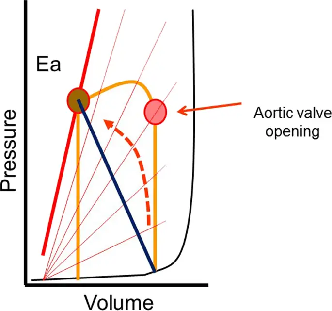 figure5