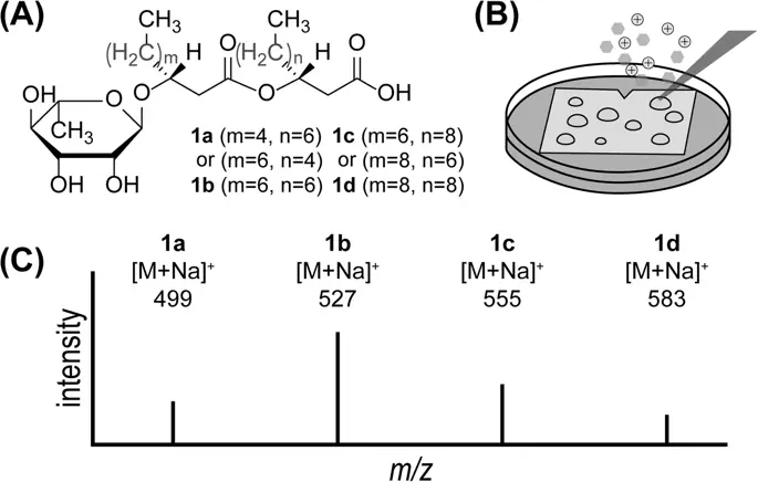 figure4