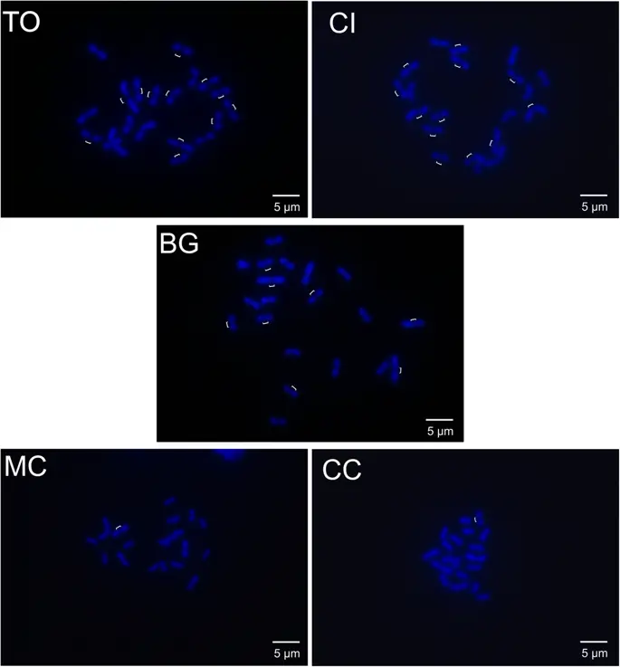 figure4 figure4