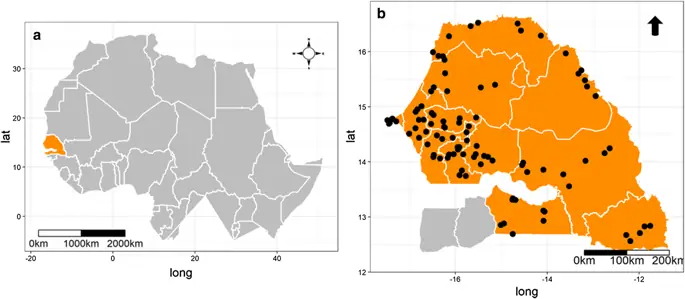 figure6 figure6