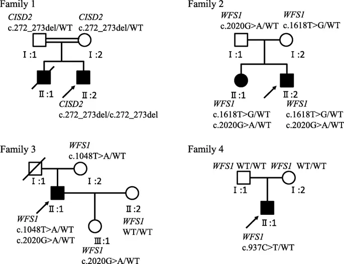 figure4