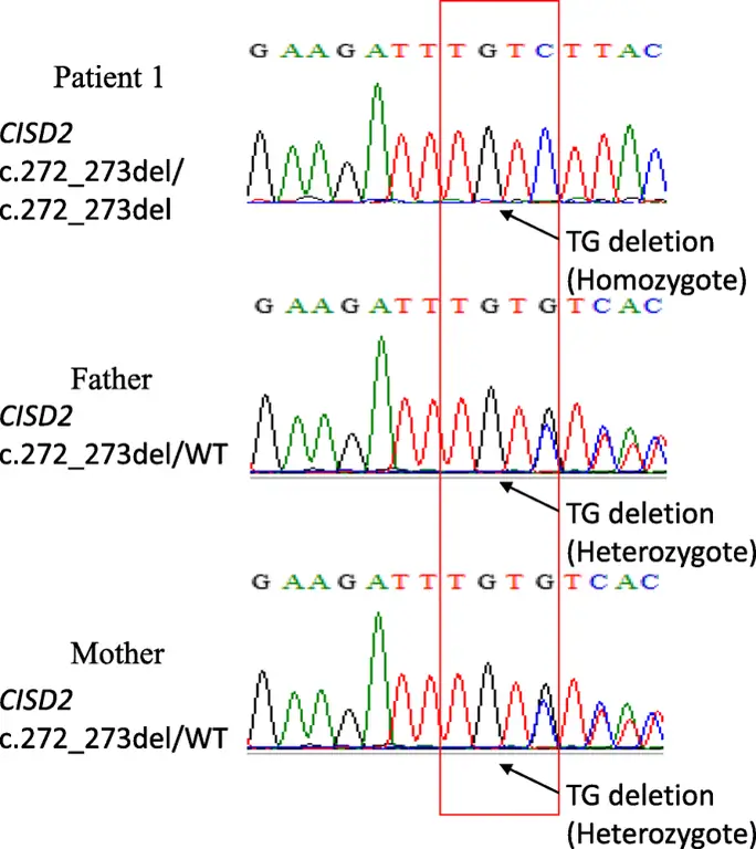 figure5