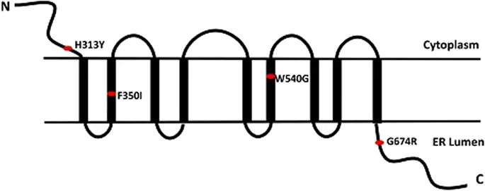 figure6