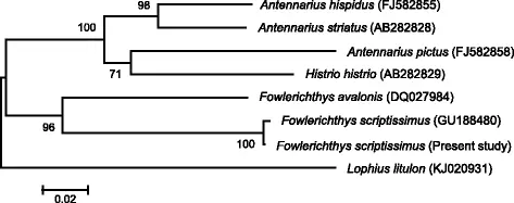 figure4