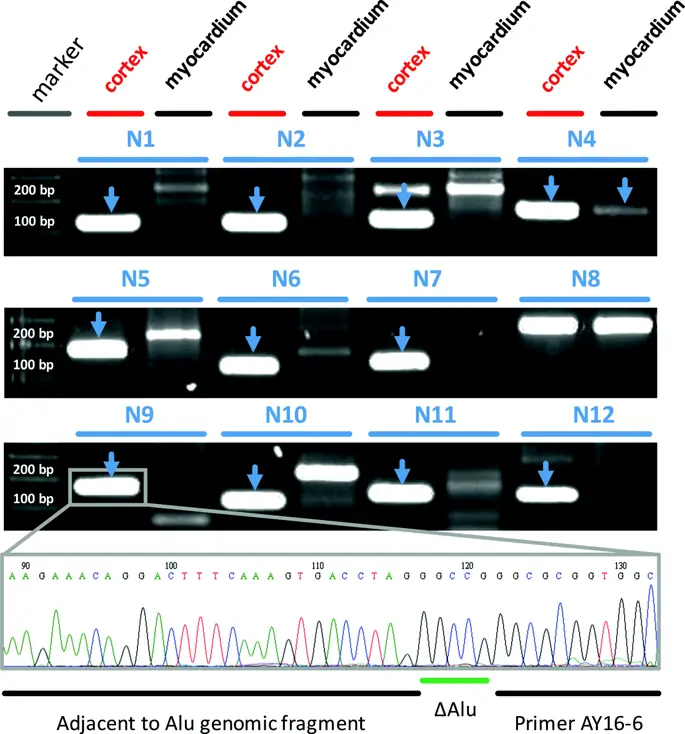 figure4 figure4