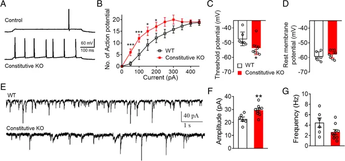 figure4 figure4