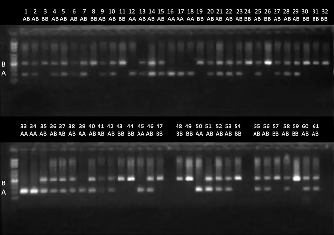 figure7 figure7