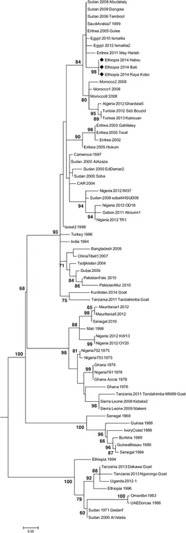 figure4