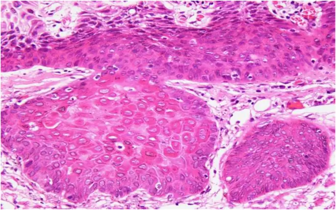 figure7