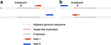 figure4