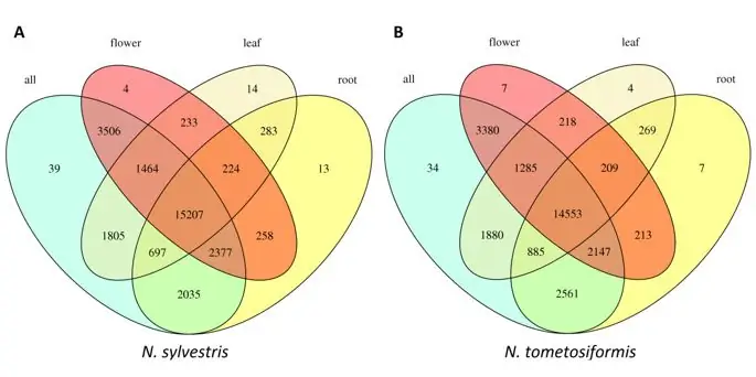 figure4 figure4