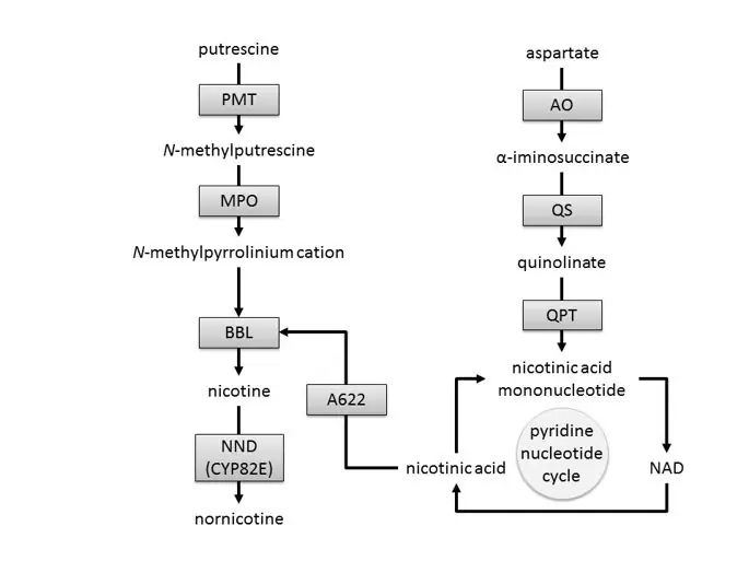 figure6 figure6