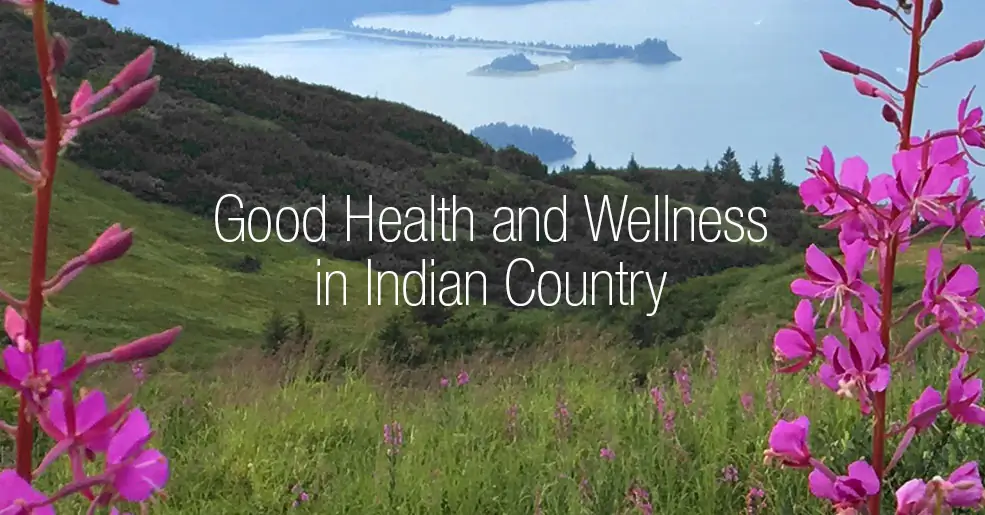 Коллекции 2019 Обложка