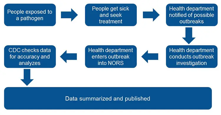 The general flow of outbreak information to NORS: 1) People are exposed to a pathogen; 2) People get sick and seek treatment 3) Health department is notified of a possible outbreak; 4) Health department conducts an outbreak investigation; 5) Health department enters outbreak information into NORS; 6) CDC checks data for accuracy and analyzes; 7) Data are summarized and published The general flow of outbreak information to NORS: 1) People are exposed to a pathogen; 2) People get sick and seek treatment 3) Health department is notified of a possible outbreak; 4) Health department conducts an outbreak investigation; 5) Health department enters outbreak information into NORS; 6) CDC checks data for accuracy and analyzes; 7) Data are summarized and published