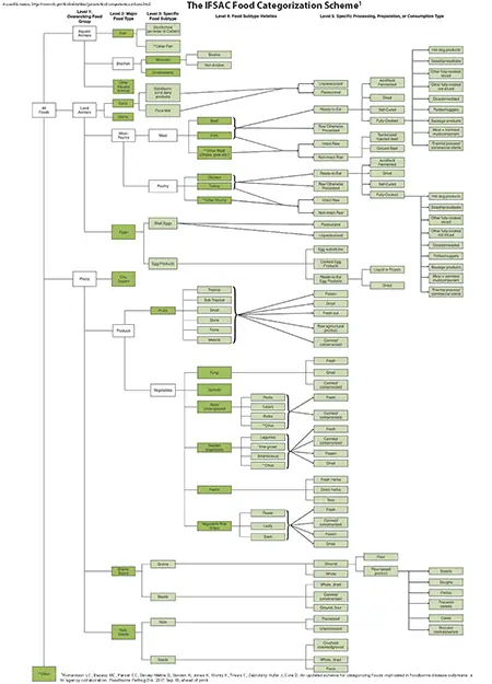 This photo shows IFSAC’s new food categorization scheme (arrangement) for foods linked to foodborne disease outbreaks. This scheme has five categories (levels) with increasingly specific subcategories at each level, resulting in a total of 234 food categories