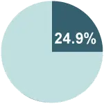 24.9%