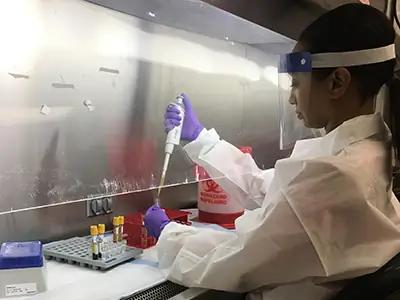 Сотрудник LLS готовит образцы H7N2 во время лабораторной помощи
