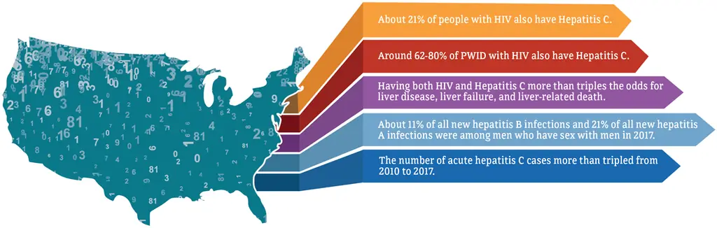 About 21% of people with HIV also have hepatitis C; Around 62-80% of PWID with HIV also have hepatitis C; Having both HIV and hepatitis C more than triples the odds for liver disease, liver failure, and liver-related death; About 11% of all new hepatitis B infections and 21% of all new hepatitis A infections were among men who have sex with men in 2017; The number of acute hepatitis C cases more than tripled from 2010-2017