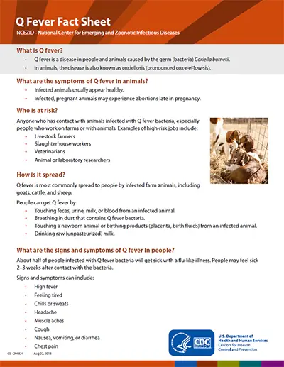 Q Миниатюра фактических данных о лихорадке