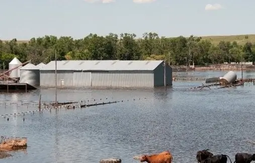 Flooded farm