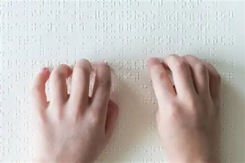 чтение по Брайлю чтение по Брайлю