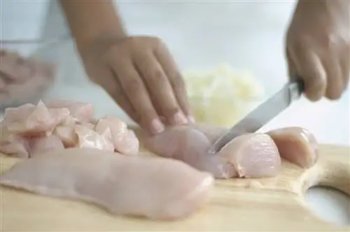 Обзор Campylobacter