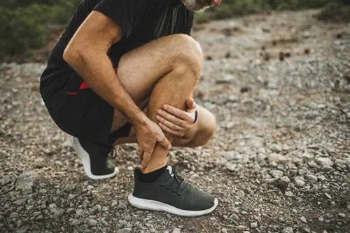 Нормальная функция сухожилий в сравнении с аномалиями