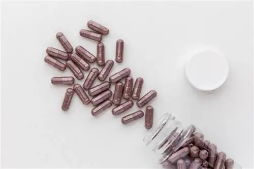 Черничные капсулы