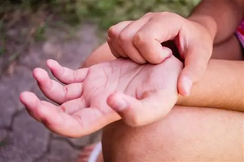 Живот мальчика царапает ладонь