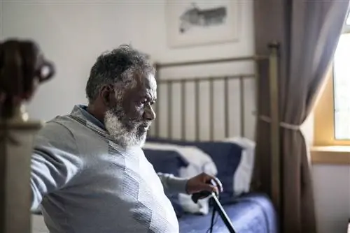 Что такое эпилепсия?