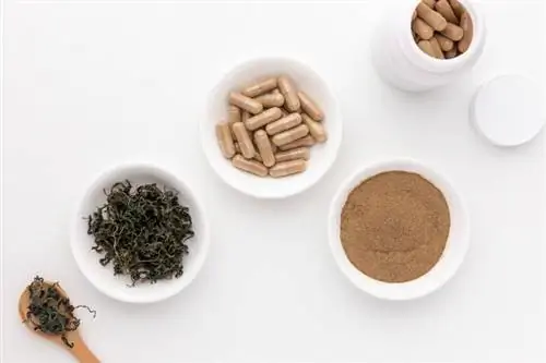 Чай Jiaogulan, капсулы и порошок Чай Jiaogulan, капсулы и порошок