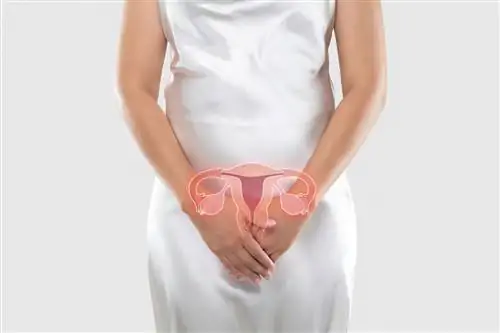 Что такое овуляционное кровотечение?
