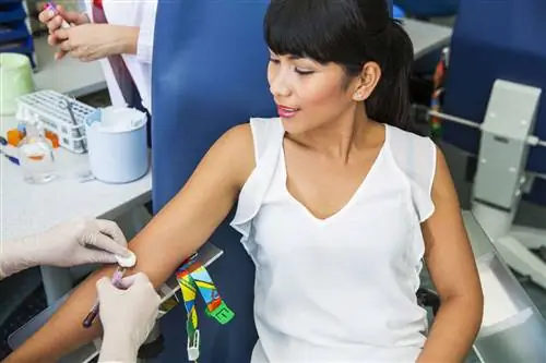 Как долго голодать перед анализом крови