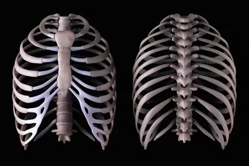 Грудной отдел позвоночника и грудная клетка в 2 проекциях.
